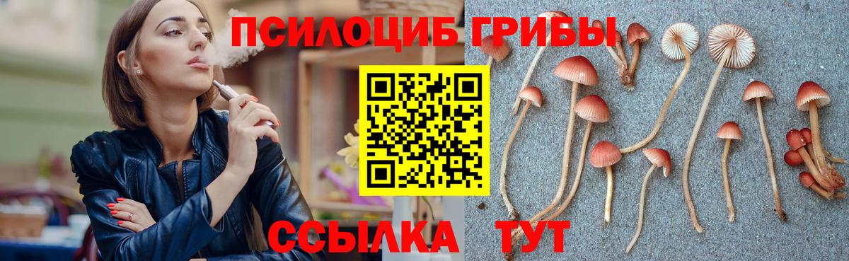 Псилоцибиновые грибы мухоморы Донецк